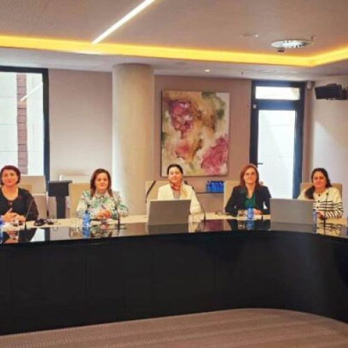 Vizita oficială la Consejo General de Enfermeria: Îmbunătățirea îngrijirilor medicale prin schimb de experiență