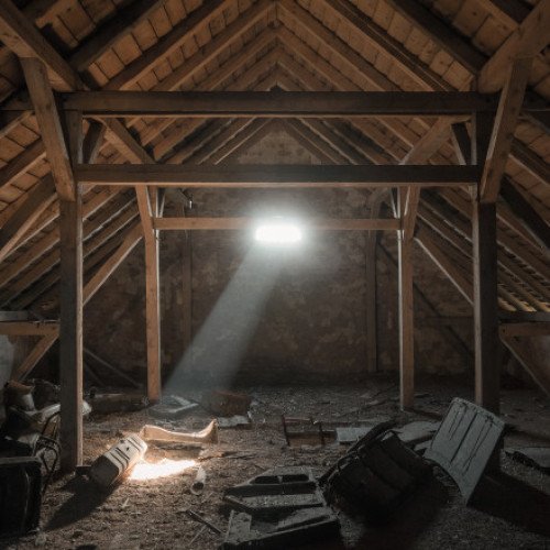 O descoperire macabră în estul Franței: Rămășițele unui bărbat dispărut de 15 ani