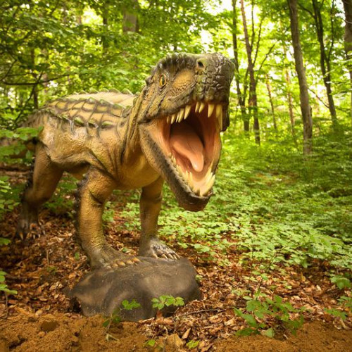 Laborator de știință la Dino Parc Râșnov, dedicat micilor entuziaști