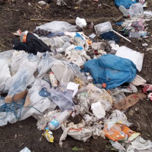 Acțiuni de control ale Gărzii Naționale de Mediu în Botoșani