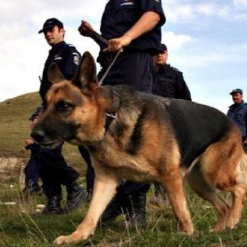 Alertă în Argeș! Bărbat dispărut fără urmă, poliția solicită ajutor!