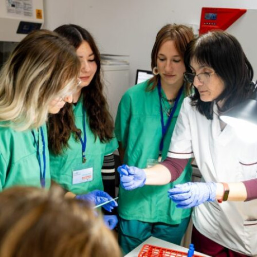 Programul Shadow lansat la Spitalul Județean din Sfântu Gheorghe, o oportunitate pentru elevi