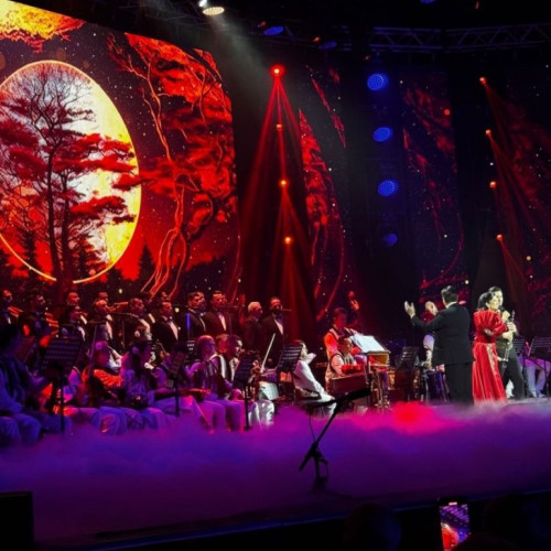 Concert memorabil cu Olguța Berbec la Sala Palatului