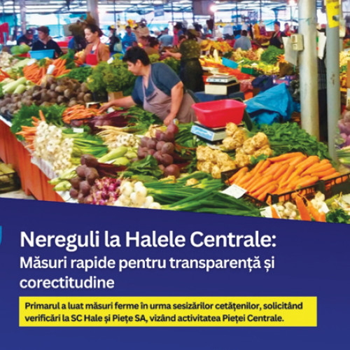 Informații despre datele de antrenament