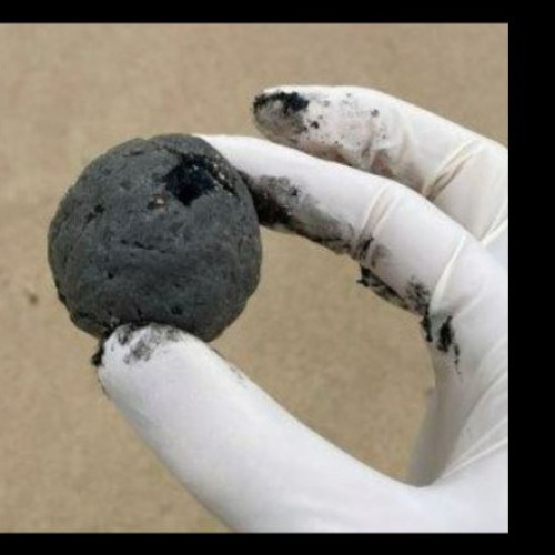 Misterul bilelor negre de pe plajele din Sydney a fost rezolvat