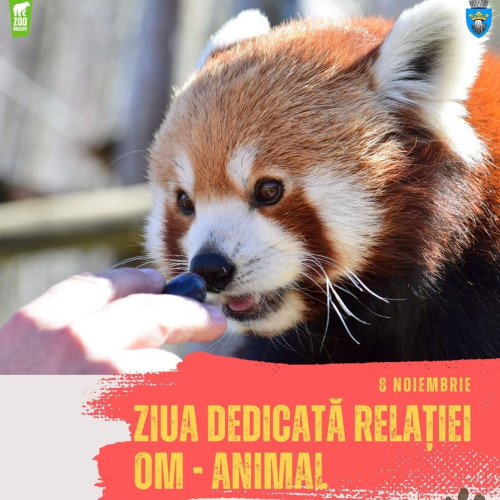 Activități educative la grădina zoologică
