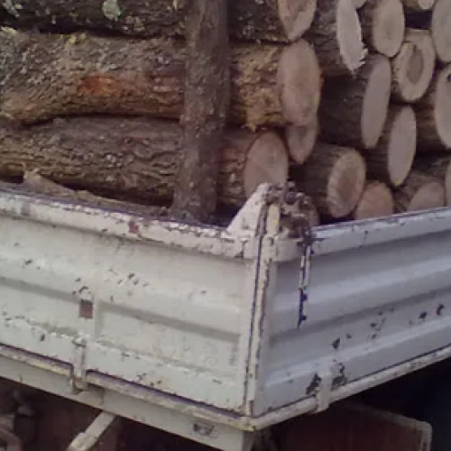 Controale ale poliției în Zărnești: Tânăr sancționat pentru transport ilegal de material lemnos