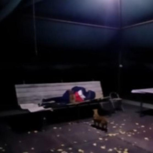 Tatal lui "Micul Hercule" acuzat din nou de abuzuri asupra copilului