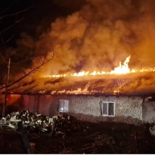 Incendiu devastator în Negru Vodă: O familie a rămas fără adăpost