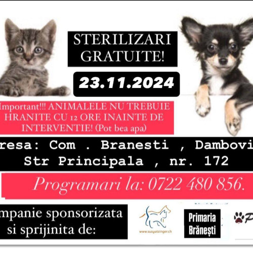 Campanie de sterilizări gratuite în comuna Brănești