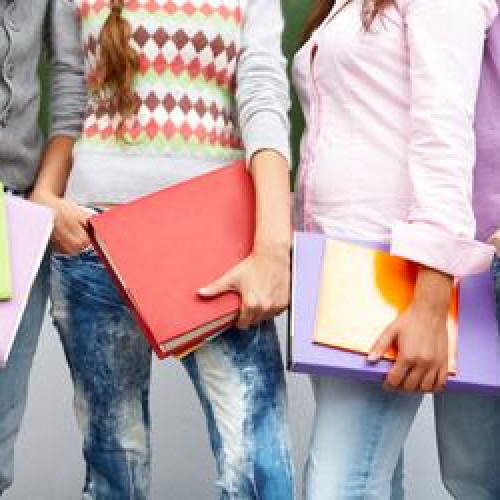 Curtea Constitutională a stabilit că legea privind bursele de performanță este neconstituțională