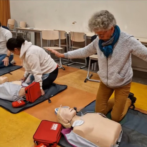 Vasile Vlasin, invitat în Olanda pentru a prezenta cursurile de prim-ajutor „Părinți Salvatori”