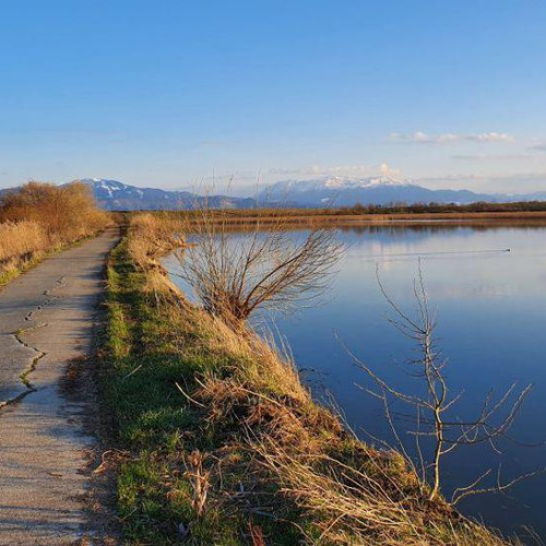Teren de 1.358.016 mp din lacul Hamaradea-Holbosel, scos la închiriere pentru piscicultură