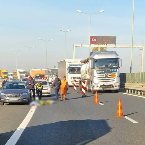 Accident tragic pe autostrada Arad-Timișoara