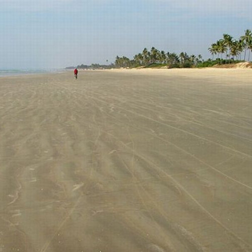 40% din subsectoarele de plajă adjudecate pentru viitorul sezon estival