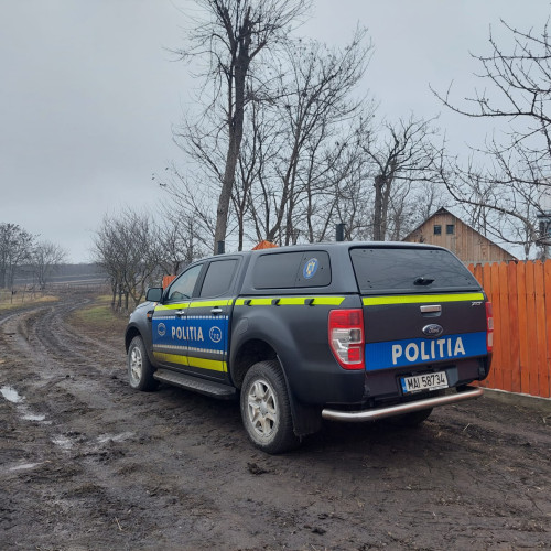 Verificări ale regimului de deținere a ogarilor în Botoșani