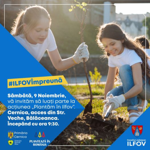 Acțiune de împădurire la Cernica, județul Ilfov