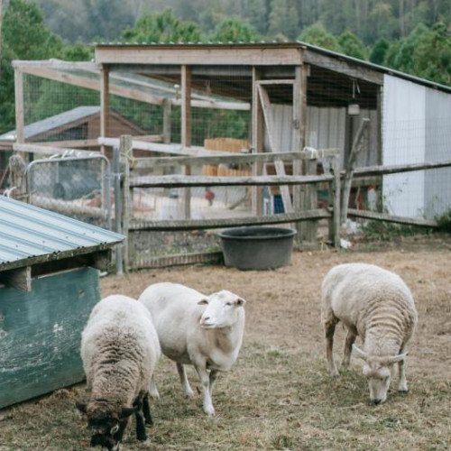 Un bărbat de 56 de ani găsit spânzurat în comuna Gherla