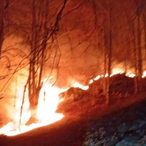 Incendiu de vegetație pe Muntele Satra din Tara Lăpușului