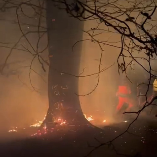 Incendiu forestier de 10 hectare în Maramureș