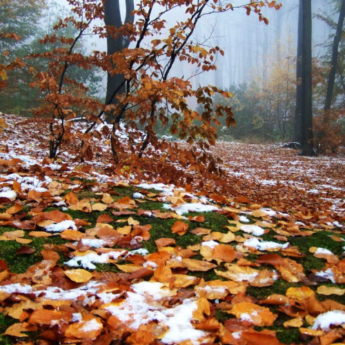 Meteorologii ANM anunță vreme severă de la sfârșitul săptămânii