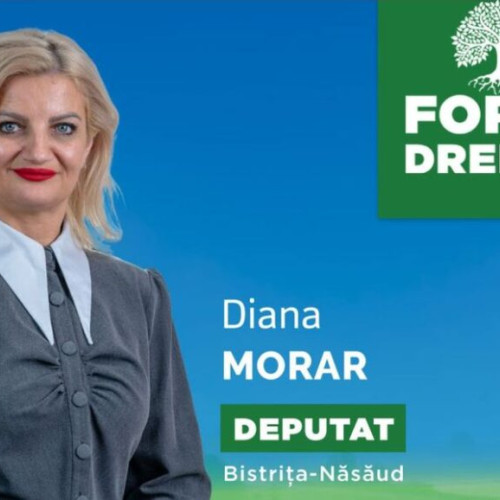 Deputat Diana Morar: "Voi lupta pentru binele județului Bistrița-Năsăud"
