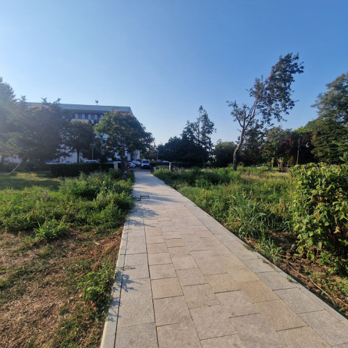 Primăria Constanța a organizat licitația pentru servicii de curățenie