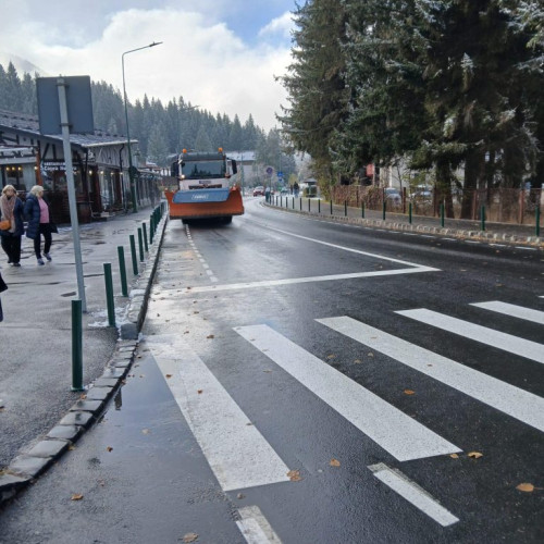 Utilaje de deszapezire operative în Brașov și Poiana Brașov