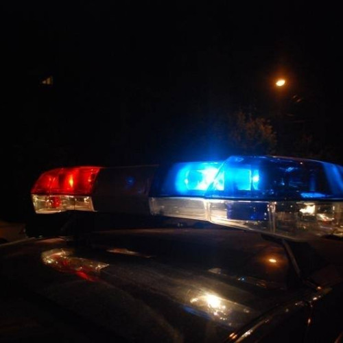 Razie a poliției la Mangalia pentru prevenirea violenței și a traficului de droguri