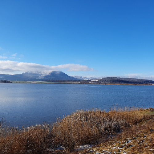 Teren de 1,3 milioane de metri pătrați, scos la închiriat de Apele Române