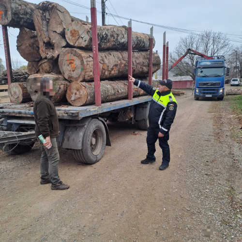 Acțiune a Poliției din Ștefănești pentru prevenirea accidentelor rutiere