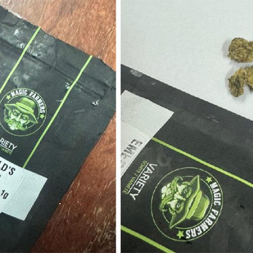 Intervenție a jandarmilor în Cernavodă și Constanța pentru consum de substanțe interzise