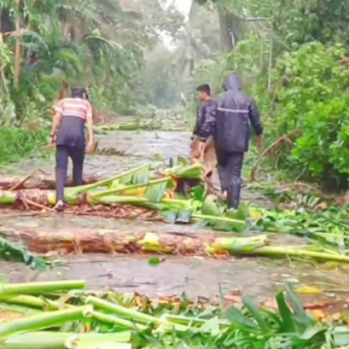 Taifunul Toraji a lovit nord-estul Filipinelor, evacuări în masă
