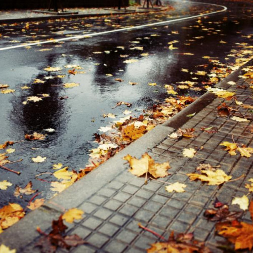 Prognoza meteo pentru perioada 11-24 noiembrie