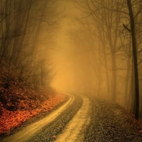 Vreme rece și posibilități de precipitații în județul Dâmbovița