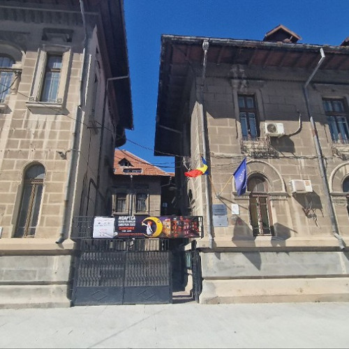 Târg de Gastronomie și Expoziție Școlară la Colegiul Național "Mircea cel Bătrân"