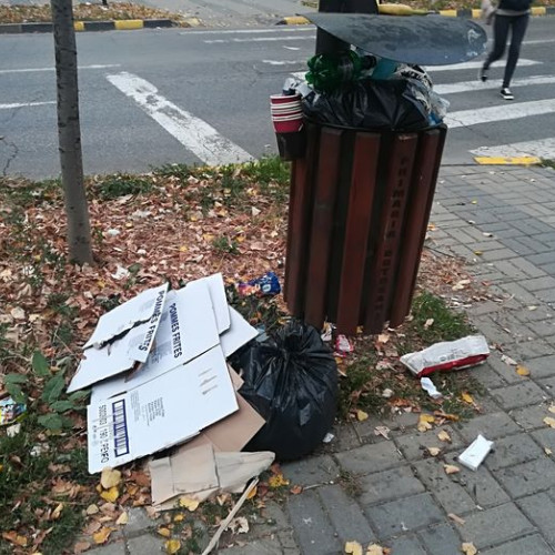 Botoșănenii sancționați pentru aruncarea deșeurilor pe stradă