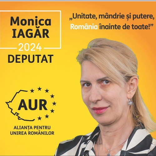 Proiectul AUR privind eliminarea subvențiilor pentru partide, respins de parlament