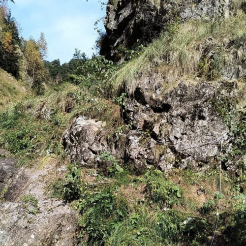 Salvamontiștii au intervenit pentru a găsi un tânăr ucrainean dispărut în Muntii Maramureșului