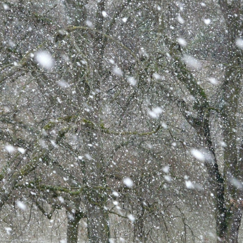 Vreme rece și precipitații în România
