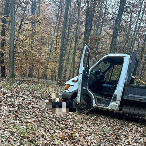 Accident tragic în pădurea din Cehal, Satu Mare
