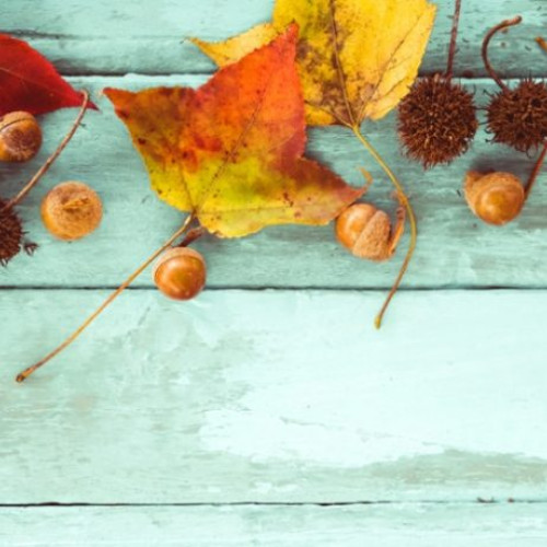 Vremea în România: Prognoza pentru noiembrie și începutul lunii decembrie