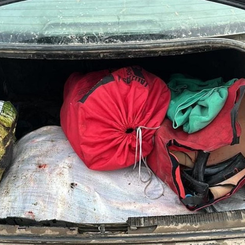 Bărbat prins conducând fără permis și cu pește fără acte legale