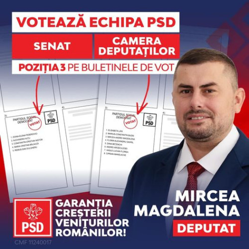 PSD propune măsuri pentru revenirea tinerilor în Botoșani