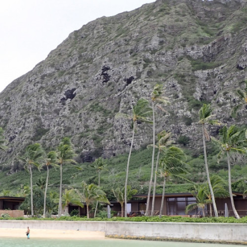 Agent al Serviciului Secret, concediat după o încălcare gravă a protocolului