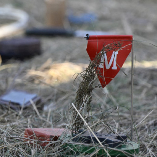 Instruire pentru deminare în Cipru pentru soldații ucraineni