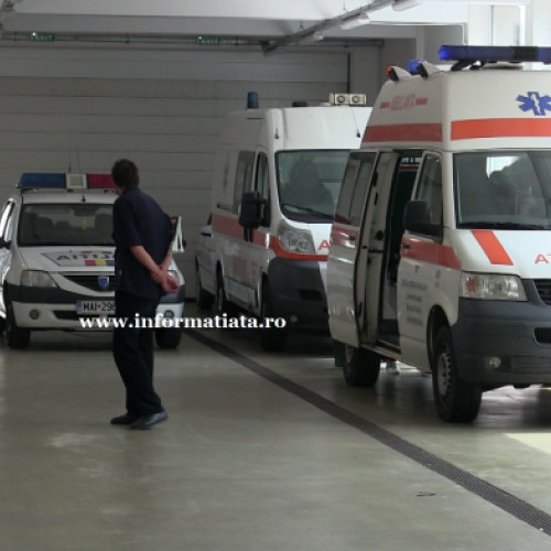 Fetita de 10 ani, rănită grav de un cal în Parhauti