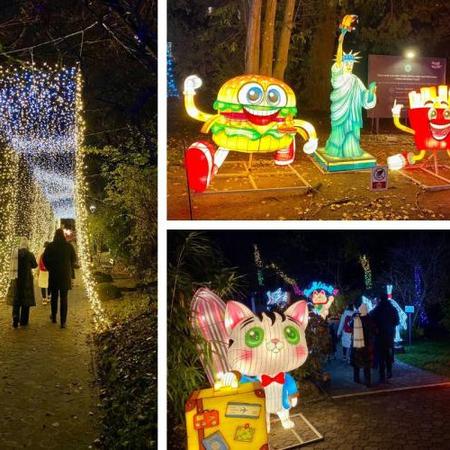 Garden of Lights aduce magia luminii în Cluj-Napoca cu expoziția "Small World"