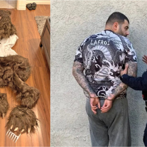 Patru persoane arestate în California pentru înșelăciune în asigurări cu un „urs” mascat