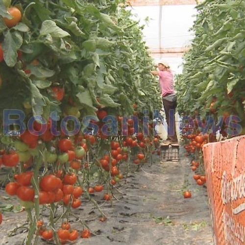 Botoșani, potențial agricol uriaș într-un județ sărăc